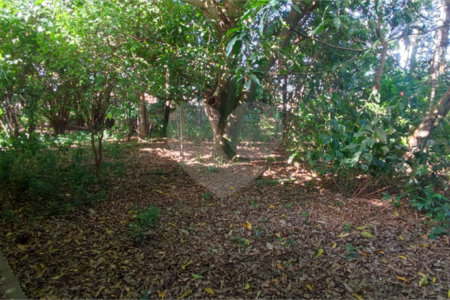 Terreno Residencial/Comercial - Chácara Parque Club