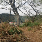 Loteamento à venda no condomínio xxxx, São Paulo - SP