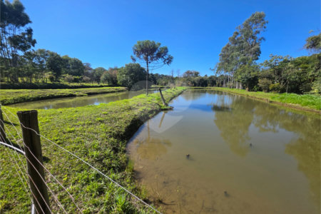 Sitio Granjeiro região de Água Vermelha 6,5 Alqueires (16,5 Hectares)
