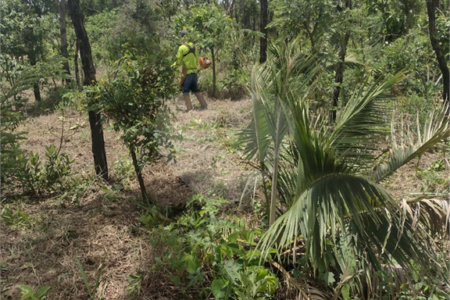 Vende-se área comercial com 220m de frente para a Washington Luiz,