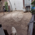 Casa térrea para venda no Jardim São Carlos 5