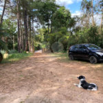 Excelente imóvel rural, situado em Analândia/SP