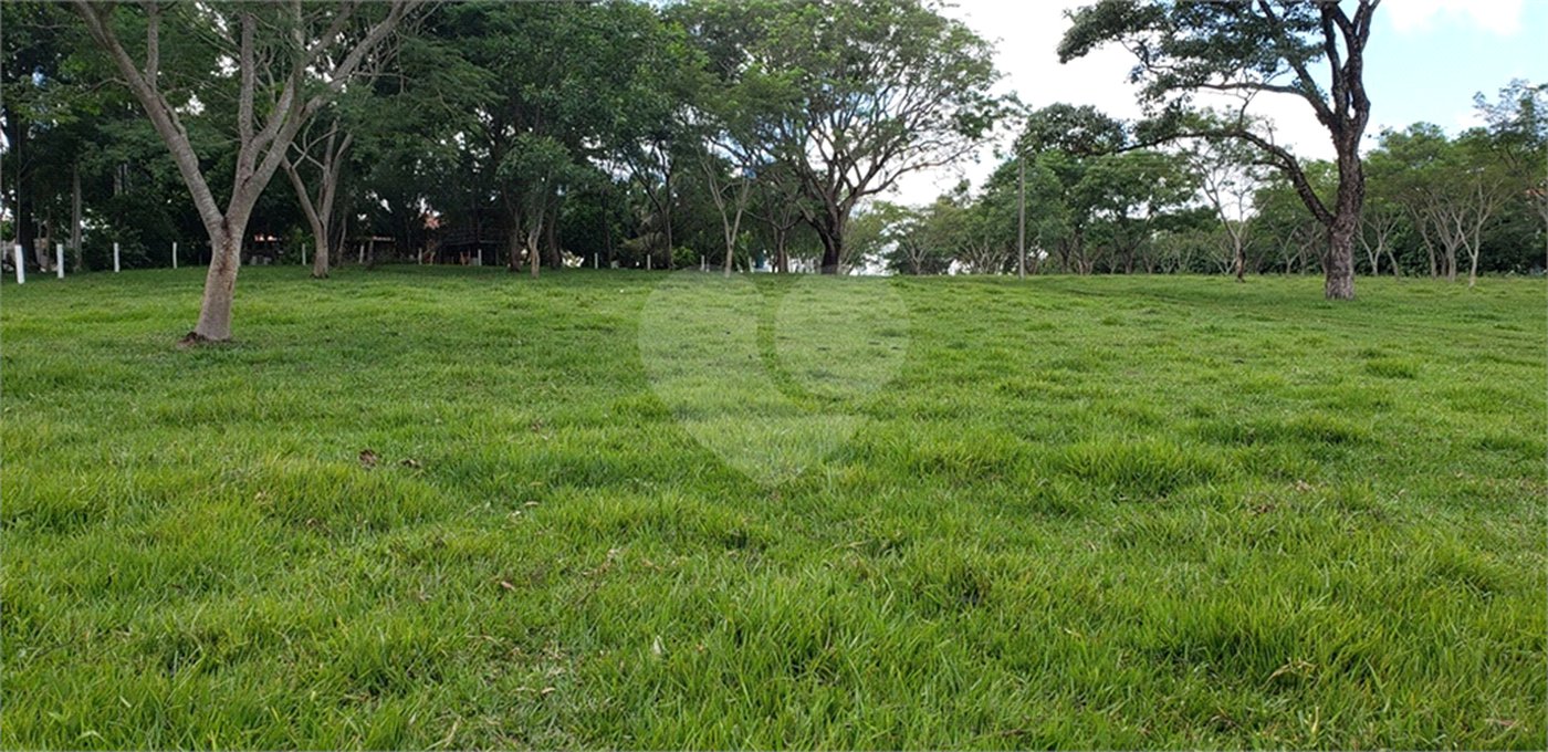 Sitio para venda.