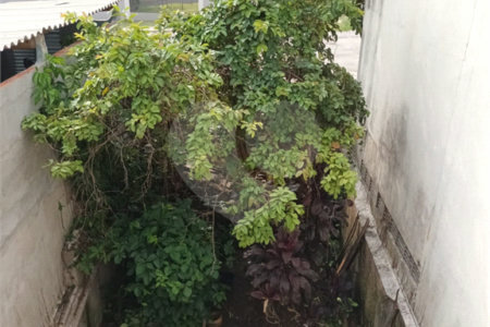 Casa térrea com duas edículas para venda - Saúde, SP.