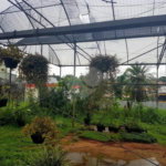 Terreno residencial/comercial com 1245m² a venda ou locação no Alto da Boa Vista, São Paulo - SP