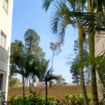 Apartamento com 2 dormitórios Mont Royal