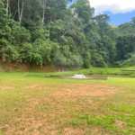 Vende-se chácara com lago Nazare Paulista com 3.000 m²