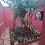 Casa + salão comercial na Vila Vista Alegre
