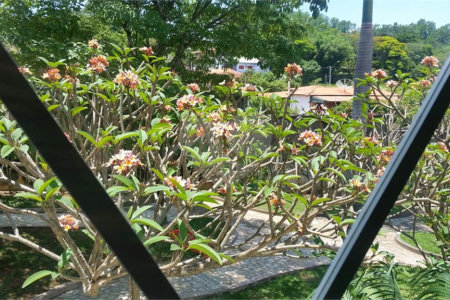 Sontag Empresarial -Jardim Sontag, Salto/SP..