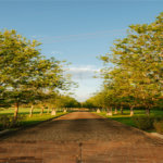 O Reserva Itanhangá nasce com um paisagismo exuberante e já formado, onde o replantio manterá a sensação, a paisagem e a estética que a propriedade proporciona atualmente. O empreendimento está em uma ótima localização, com acesso através de uma ampla avenida, junto ao Helvetia e seus campos de polo