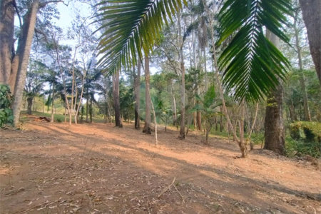 Sítio à venda, 504m² - Ponte Alta Atibaia 48mil² Ref: 1013670