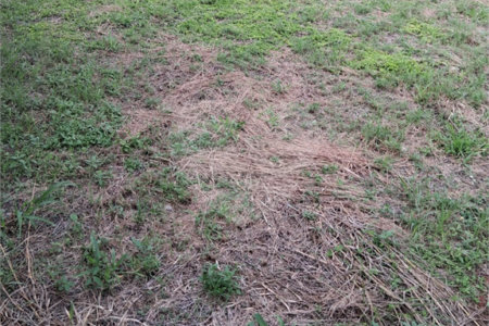Terreno a venda