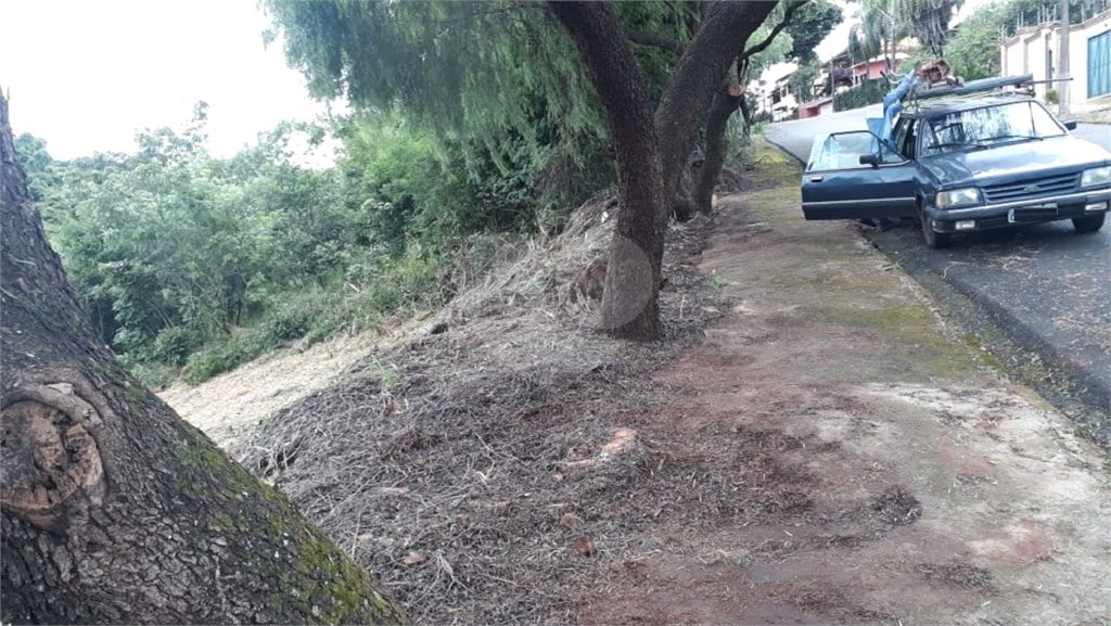 Terreno com 453,50 m² de área total.