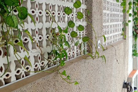 🏡 LINDÍSSIMA CASA DE 3 DORMITÓRIOS NO JARDIM REAL