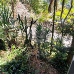 Casa á venda em condominio em Caieiras SP