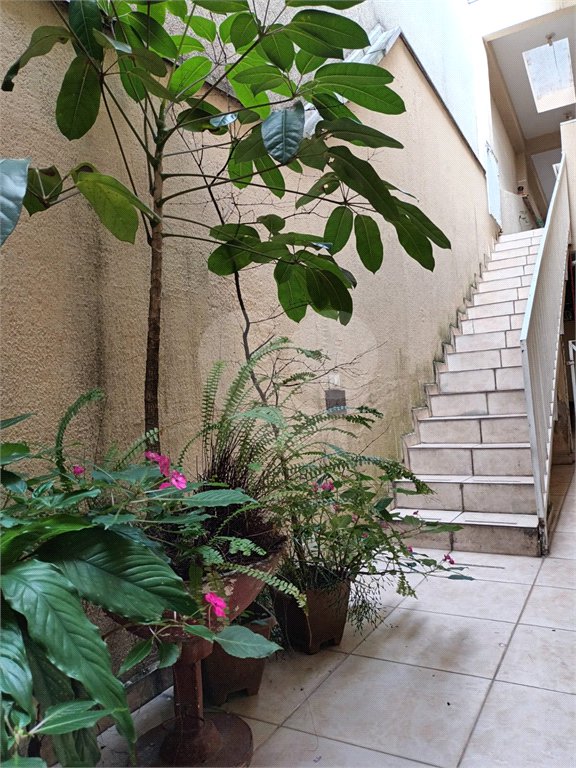 Casa térrea com duas edículas para venda - Saúde, SP.