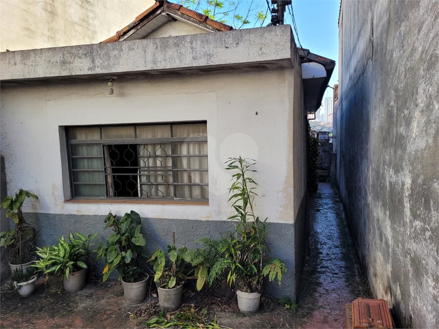 Casa na região do alto da Mooca com 242m² de área total.