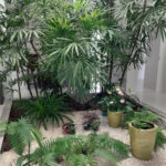 Casa à venda com 5 suítes no condomínio Ipe Velho, Vinhedo - SP