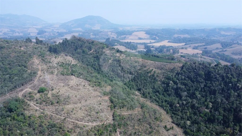FAZENDA FORTALEZA, Caldas - MG
