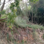 Terreno a venda no Vivendas do Engenho D`Água