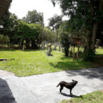 Chácara para venda no Portal do Vale no distrito de Água Vermelha/SP