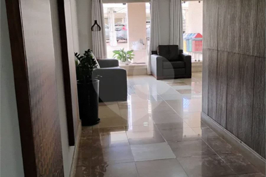 Lindo Apartamento Alto Da Boa Vista