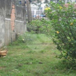 Casa á venda - Jabaquara