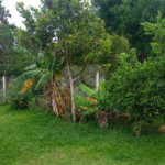 Chácara no Aracê de Santo Antônio, ótima oportunidade de negócio