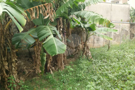 Casa térrea a venda no centro de São Carlos com 3 quartos