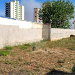 Terreno Padrão - Comercial para Venda no centro em São Carlos