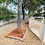 Apartamento à venda com 3 quartos, sendo 1 suíte, em Jardim Esmeralda, São Paulo - SP