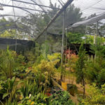 Terreno residencial/comercial com 1245m² a venda ou locação no Alto da Boa Vista, São Paulo - SP