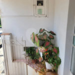 Vende-se sobrado no Centro de São Carlos