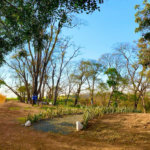 Sítio na cidade de Taiuva-SP.