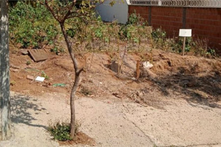 Terreno plano contendo 160,00 m² .