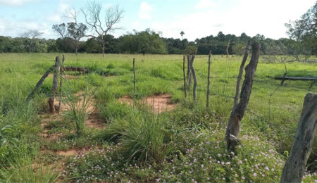 Fazenda à venda com 2 quartos no Centro, Estreito, MA