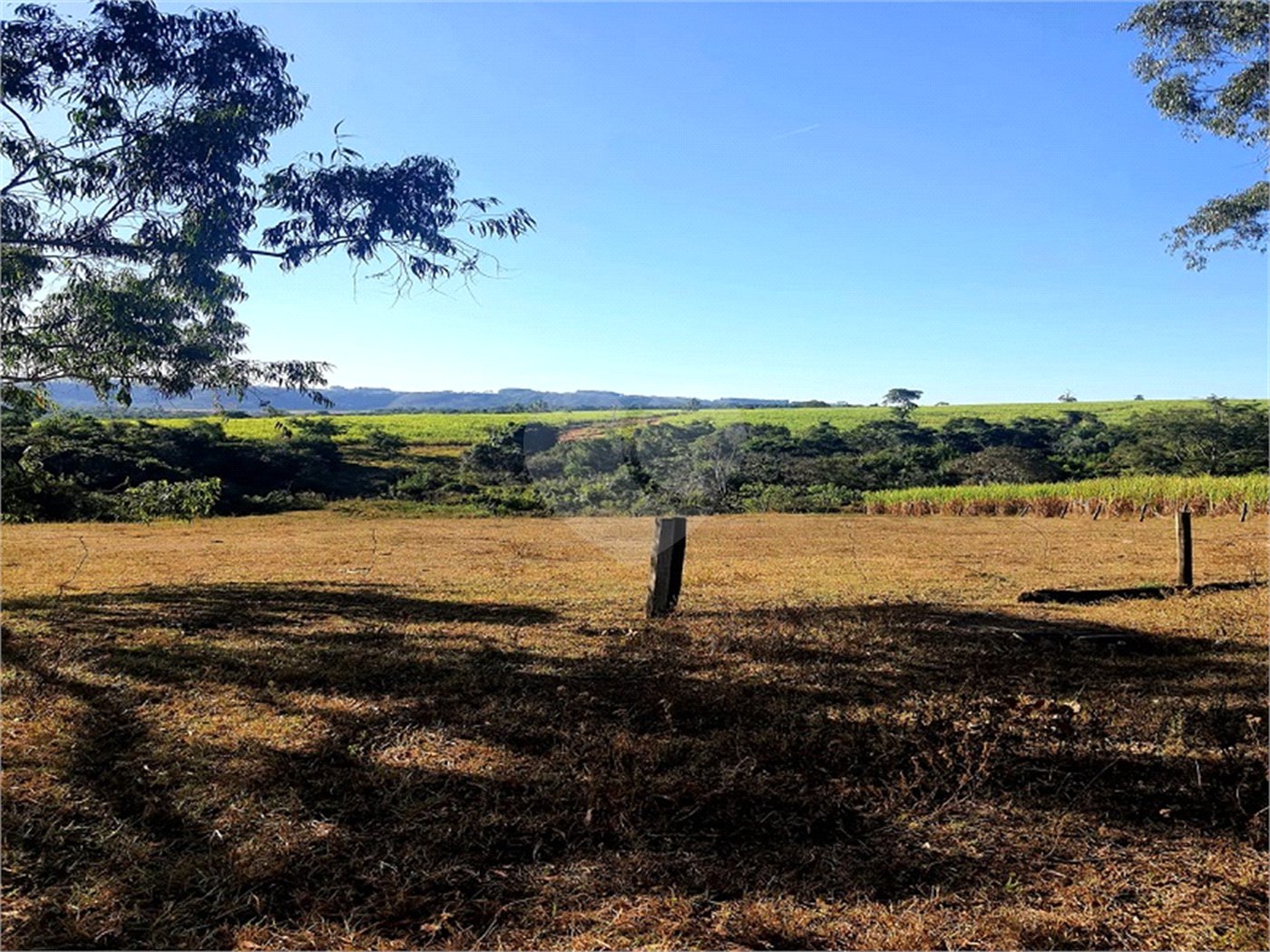 Fazenda em Ribeirão Bonito
