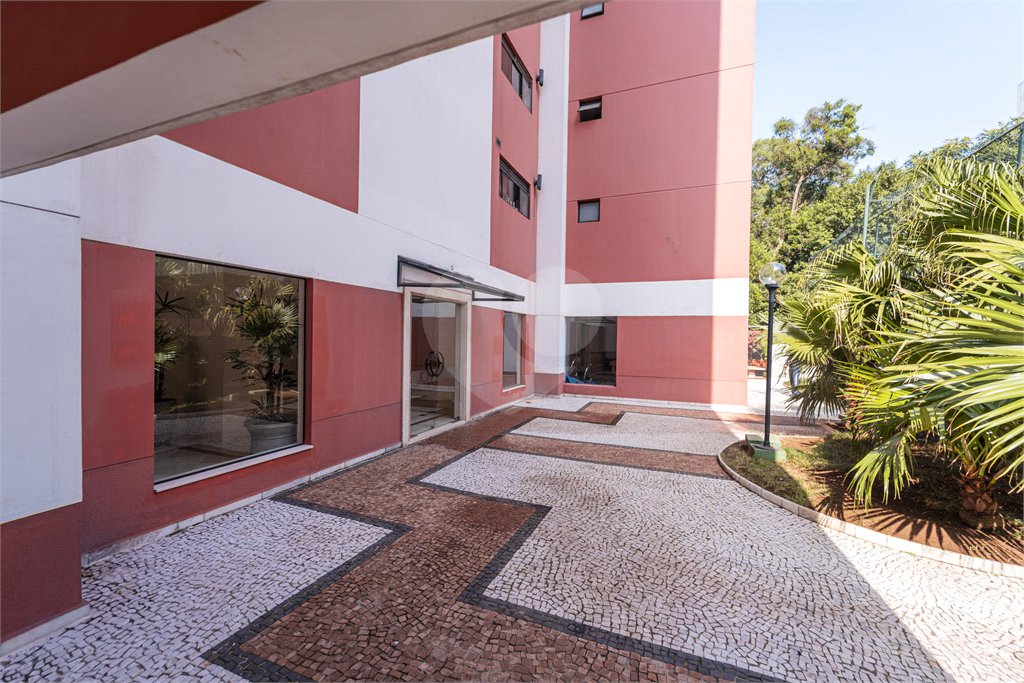 Apartamento à venda com 3 quartos, sendo 1 suíte,  em Vila Mascote, São Paulo, SP