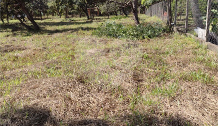 Terreno à venda em Loteamento Aracê de Santo Antonio II, São Carlos, SP