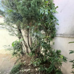 Prédio Comercial de Alto Padrão em Localização Nobre