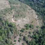 FAZENDA FORTALEZA, Caldas - MG