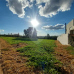 Terreno de 1.400m² no Damha Golf