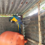 Sitio para venda.
