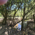 Sítio à venda com 7 alqueires, em Serra do Capetinga, Itapeva - MG
