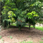 Chácara a venda no Residencial Planalto Serra Verde em Itirapina