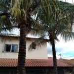 Casa/Sobrado para venda na Vila Prado