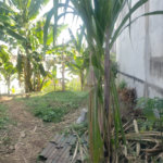 Terreno á venda com 266m ² - Bosque da Saúde