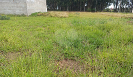 Terreno à venda em Parque dos Flamboyant, São Carlos, SP