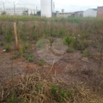 Lote no Jardim do Bosque, aceita financiamento ou aquisição de terreno e construção