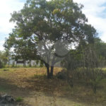 Chácara à venda em Tanquinho - Piracicaba/SP.